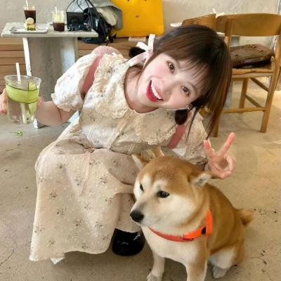 一梦如初2025