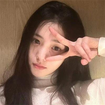 征服北极的人