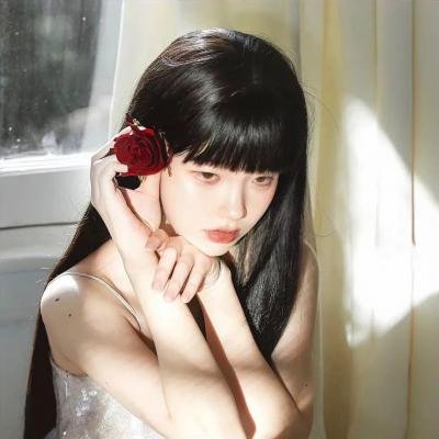 科搜研之女第24季